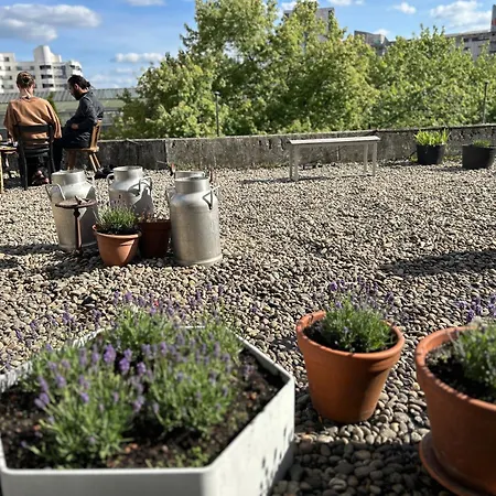 Comebackpackers 旅馆