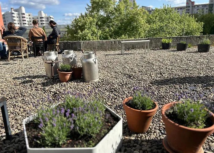 Comebackpackers Vandrarhem