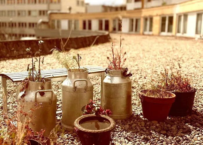 Comebackpackers Auberge de jeunesse *