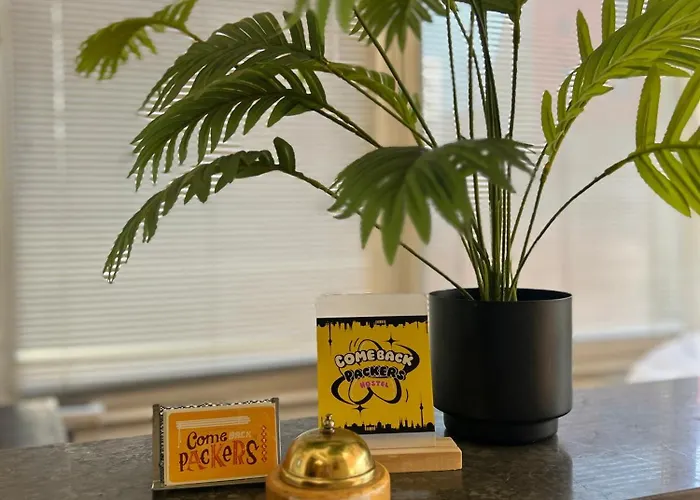 Auberge de jeunesse Comebackpackers *